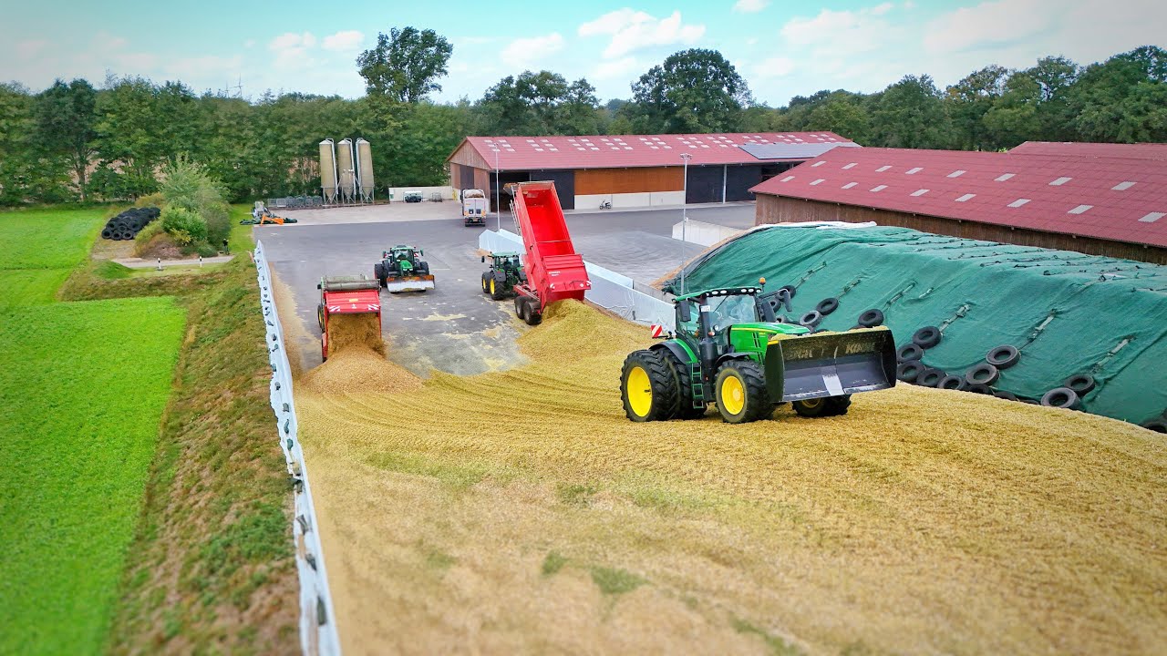 Maisernte 2025🌽! Krone BigX 770 John Deere und Deutz Traktoren | Bullenbetrieb im Emsland Lu Meiners