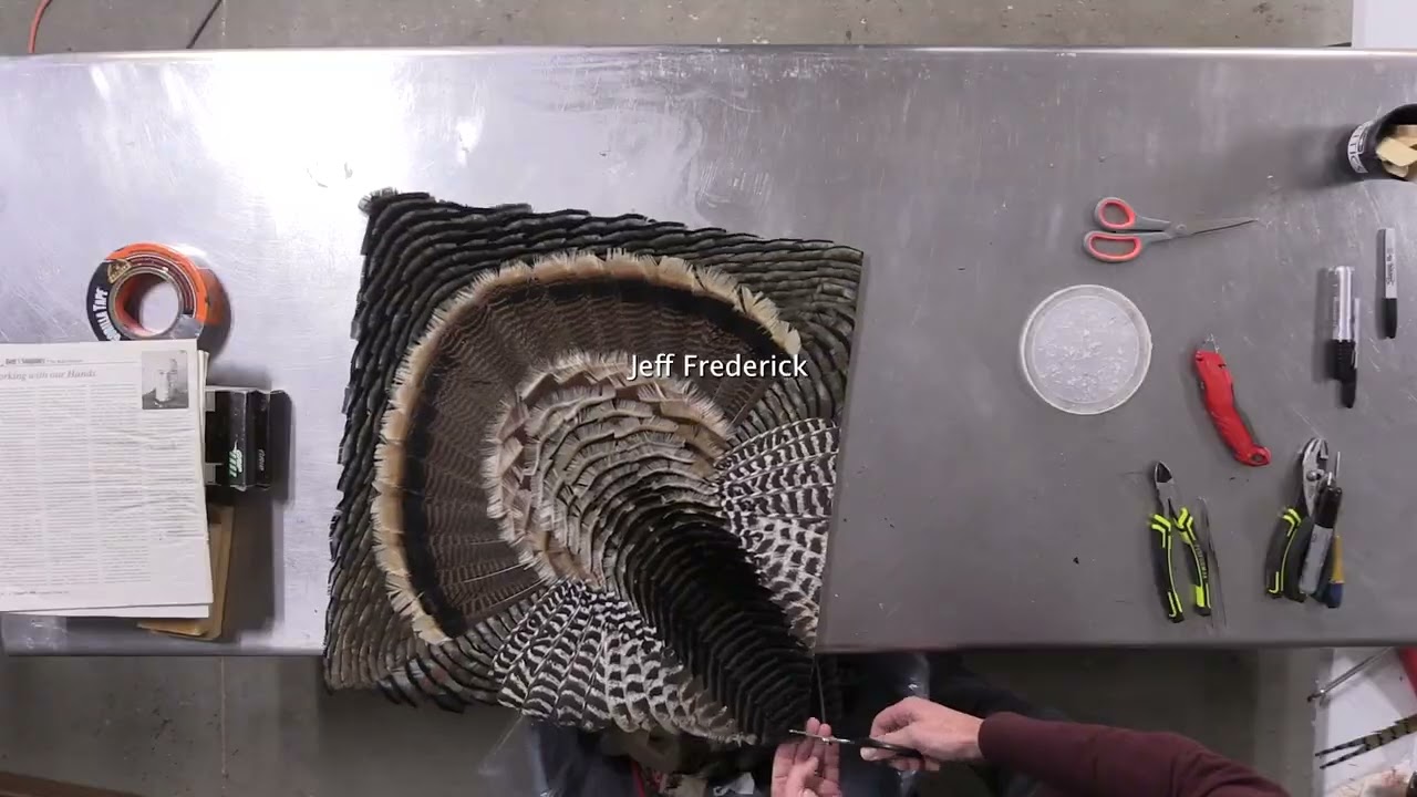 TurkeyFeatherArtFrameTrailer