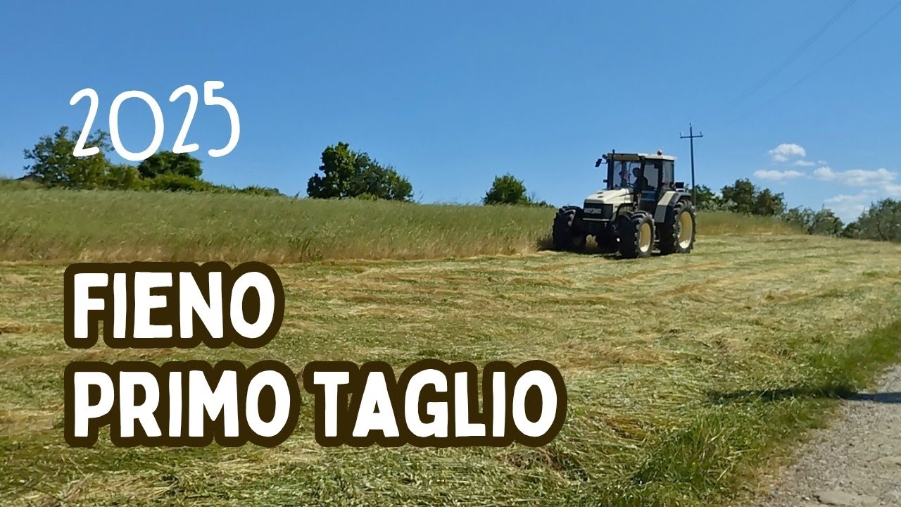 Fienagione 2025: il primo taglio del fieno col trattore Lamborghini