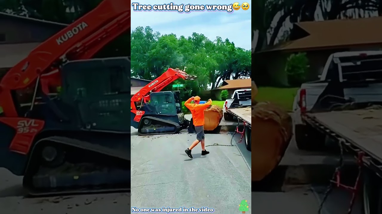 Tree cutting gone wrong😅🥹#tree#cutting#fail