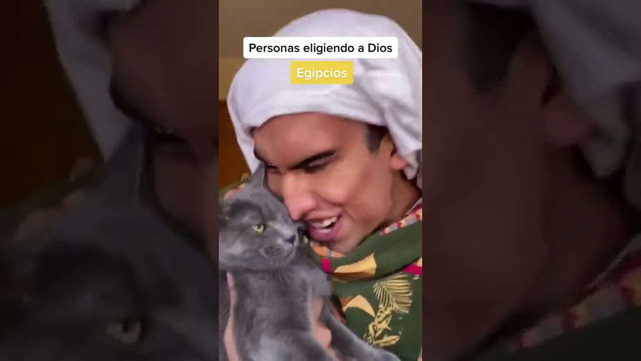 Esos egipcios y sus gatos
