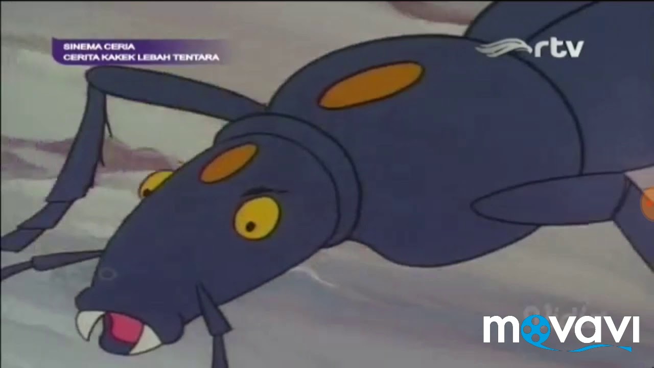 Petualangan Hachi si Lebah Madu - Cerita Kakek Lebah Tentara