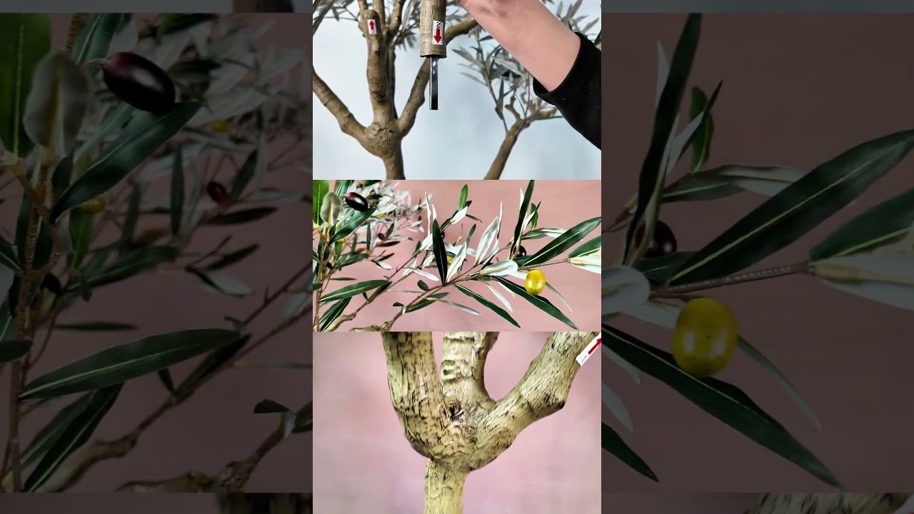 78.7in Faux Olive Tree | Realistic Trunk & Gradient Olives | Item No. 19125003