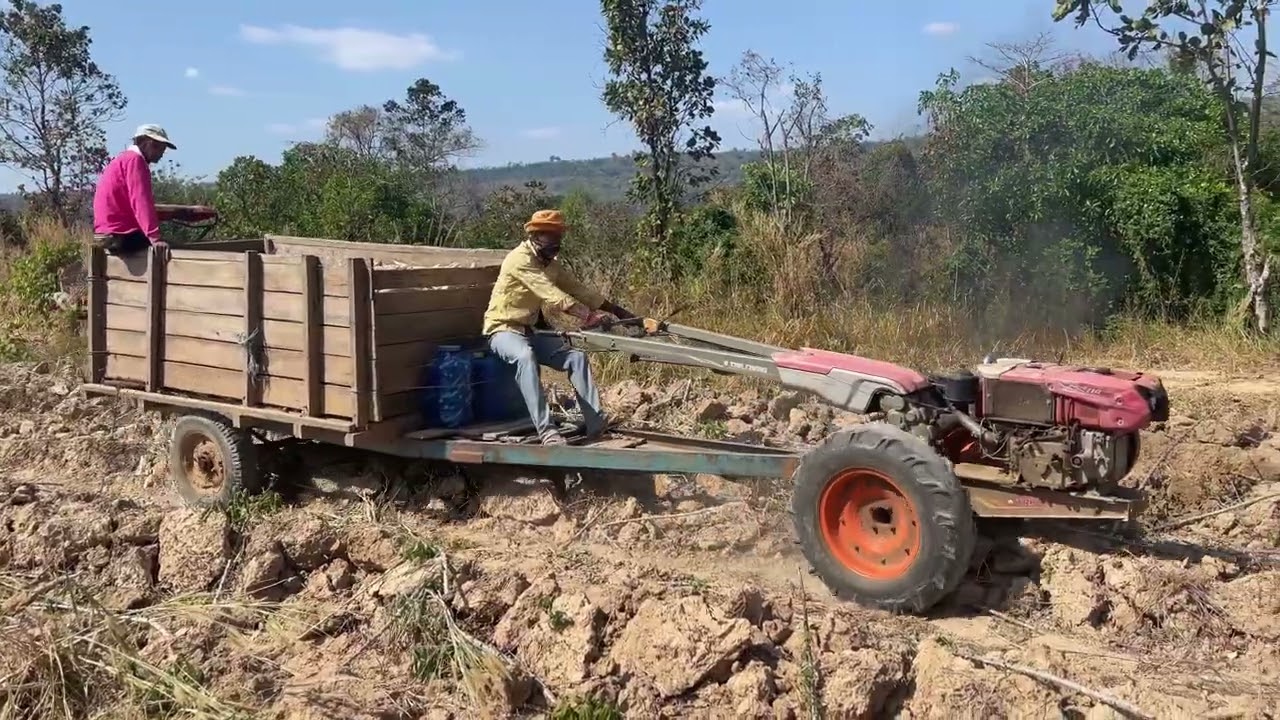 ដកដំឡូងយកលុយភៀសសឹក