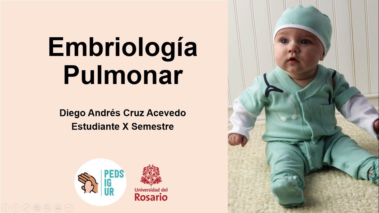 Embriologia Pulmonar