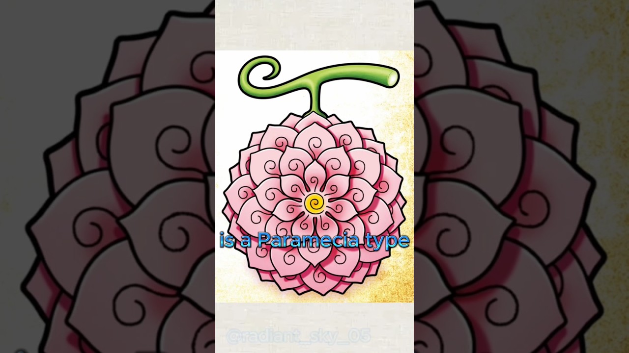 Devil fruit |Hana Hana no mi |Nico Robin |One piece