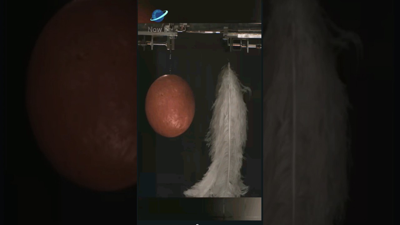 Magic of Gravity in biggest Vacuum chamber. #learnew #gravity #vacuum #experiment #shorts