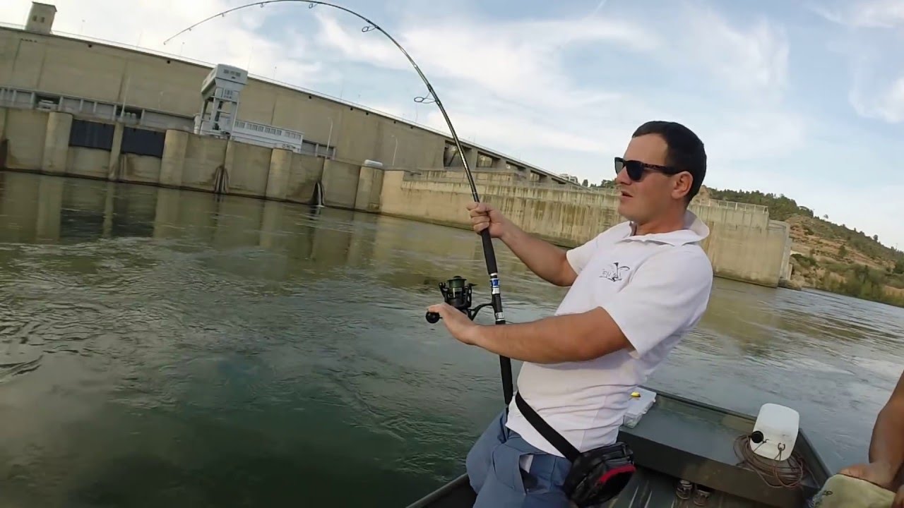 Cvija i Panic Ebro fishing.. Test Daiwa Saltiga 802 MHS i Penn Conflict 5000 :)
