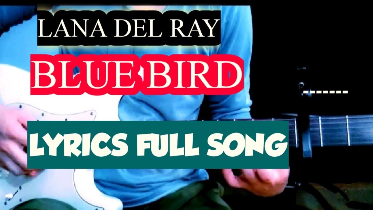 HOW TO PLAY- Lana Del Rey - Bluebird / LYRICS CHORDS GUITAR  TUTORIAL