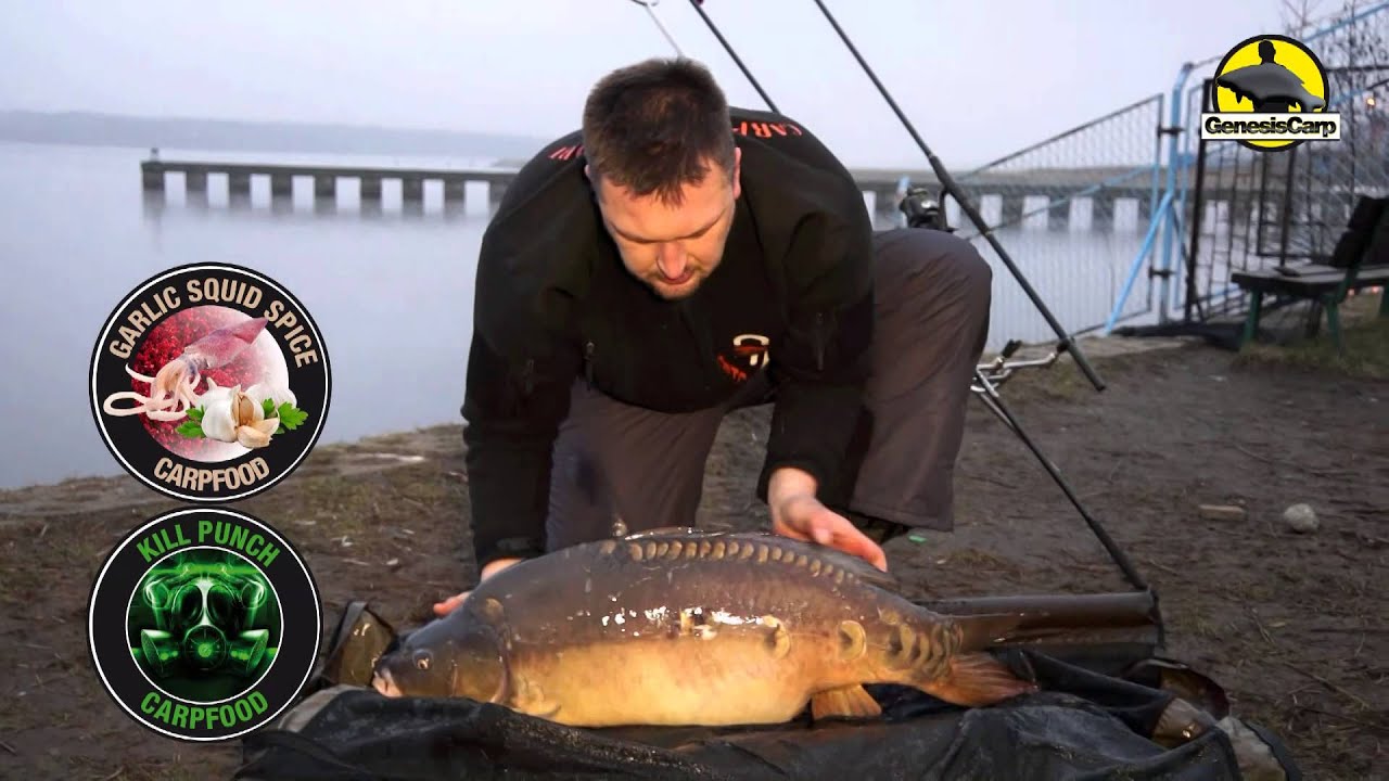 Karp - Moja Pasja 
