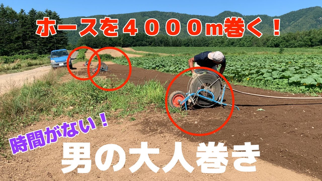 【畑の水やり】ホース4000メートル巻きました