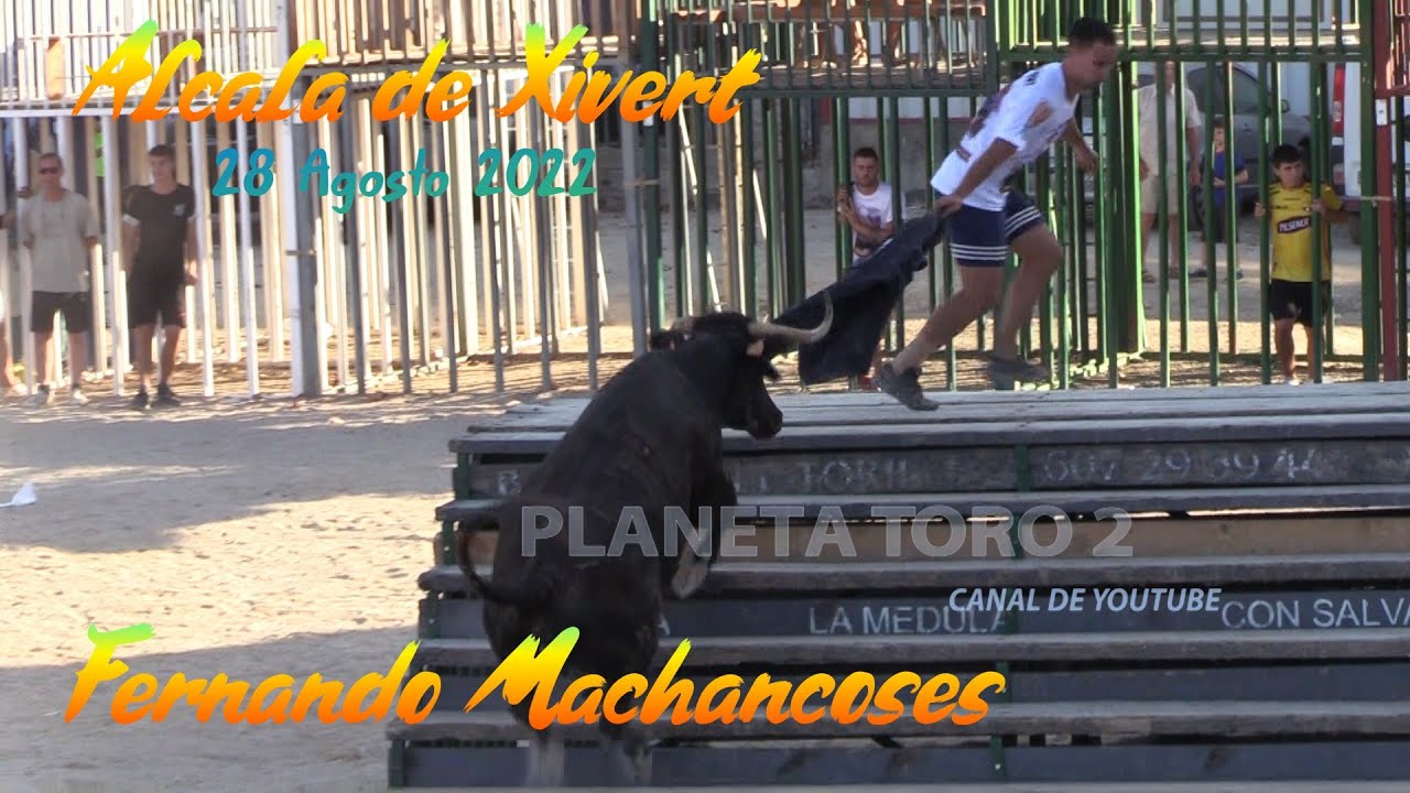 2022 08 28 ALCALA DE XIVERT FERNANDO MACHANCOSES