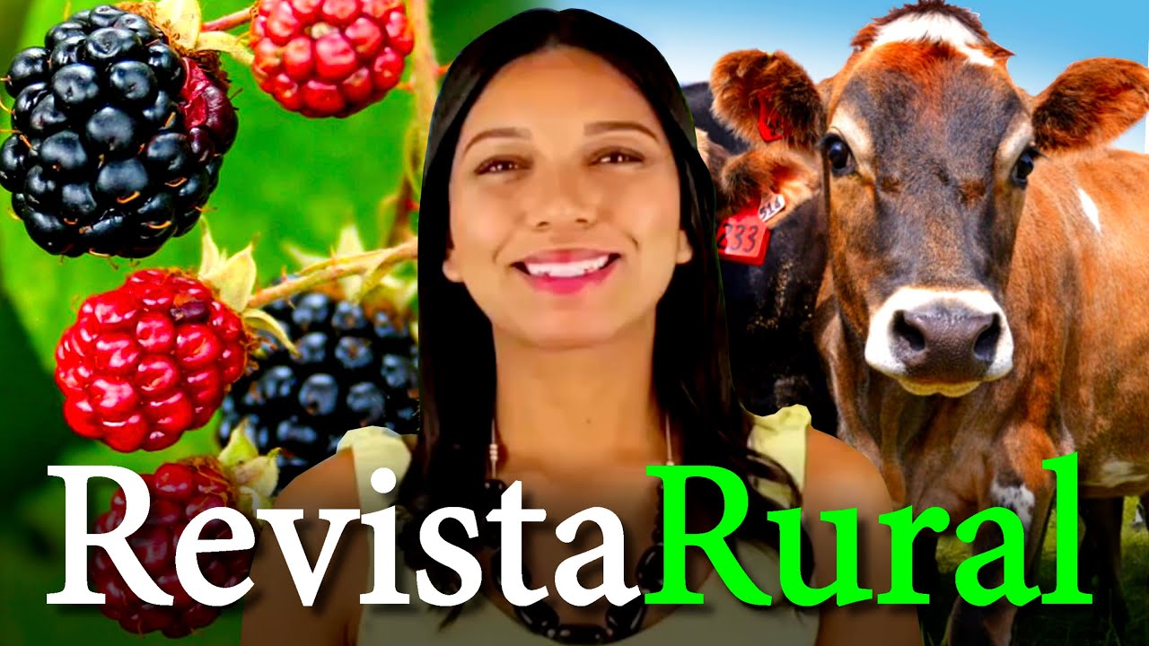 PROGRAMA REVISTA RURAL - 12/10/2025