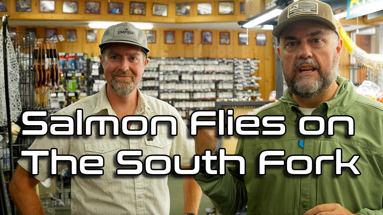 Epic South Fork Fly Fishing: Catching Big Trout with Salmon Flies!