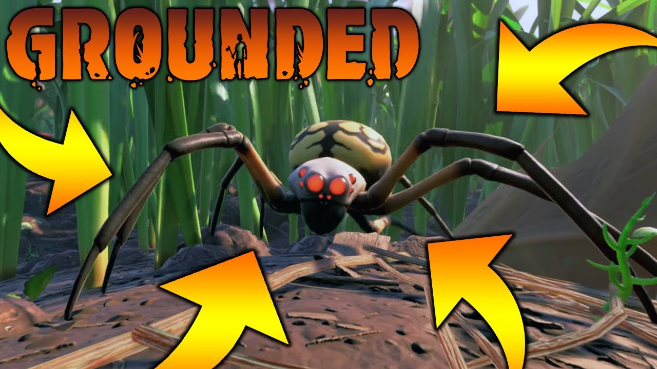 SKURCZONY SURVIVAL! || #1 || GROUNDED