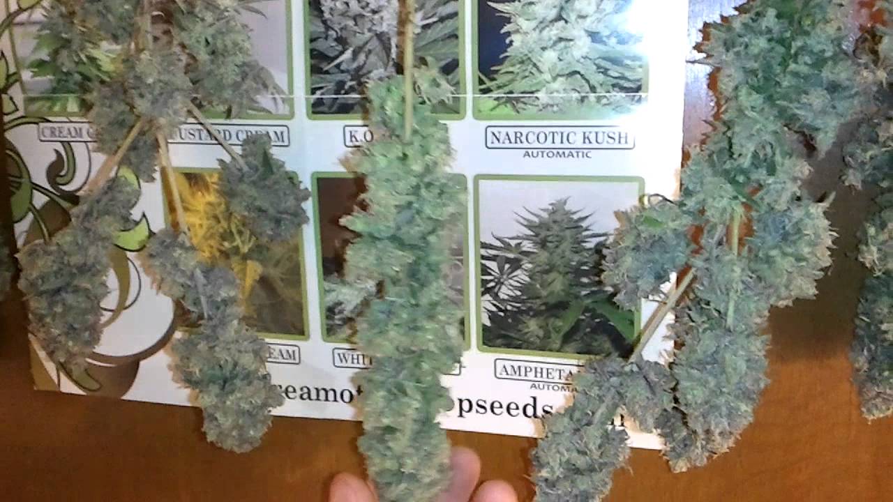 Reserva Privada Purple Wreck Harvested...