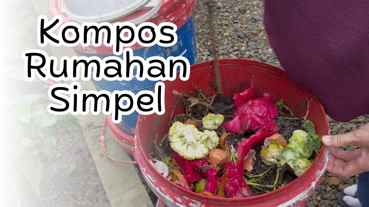 Sampah Dapur Jadi Kompos | Kegiatan Berkebun Ibu Rumah Tangga di Rumah #rumahsegar #gardening 
