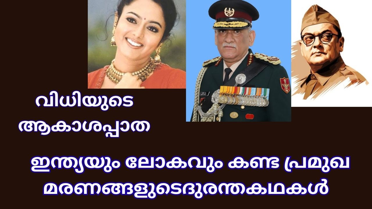 അപകടമോ അട്ടിമറിയോ? ആകാശത്തിലെ നിഗൂഢ മരണങ്ങൾ