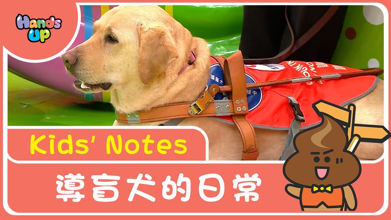 導盲犬的日常｜Kids’ Notes｜Hands Up