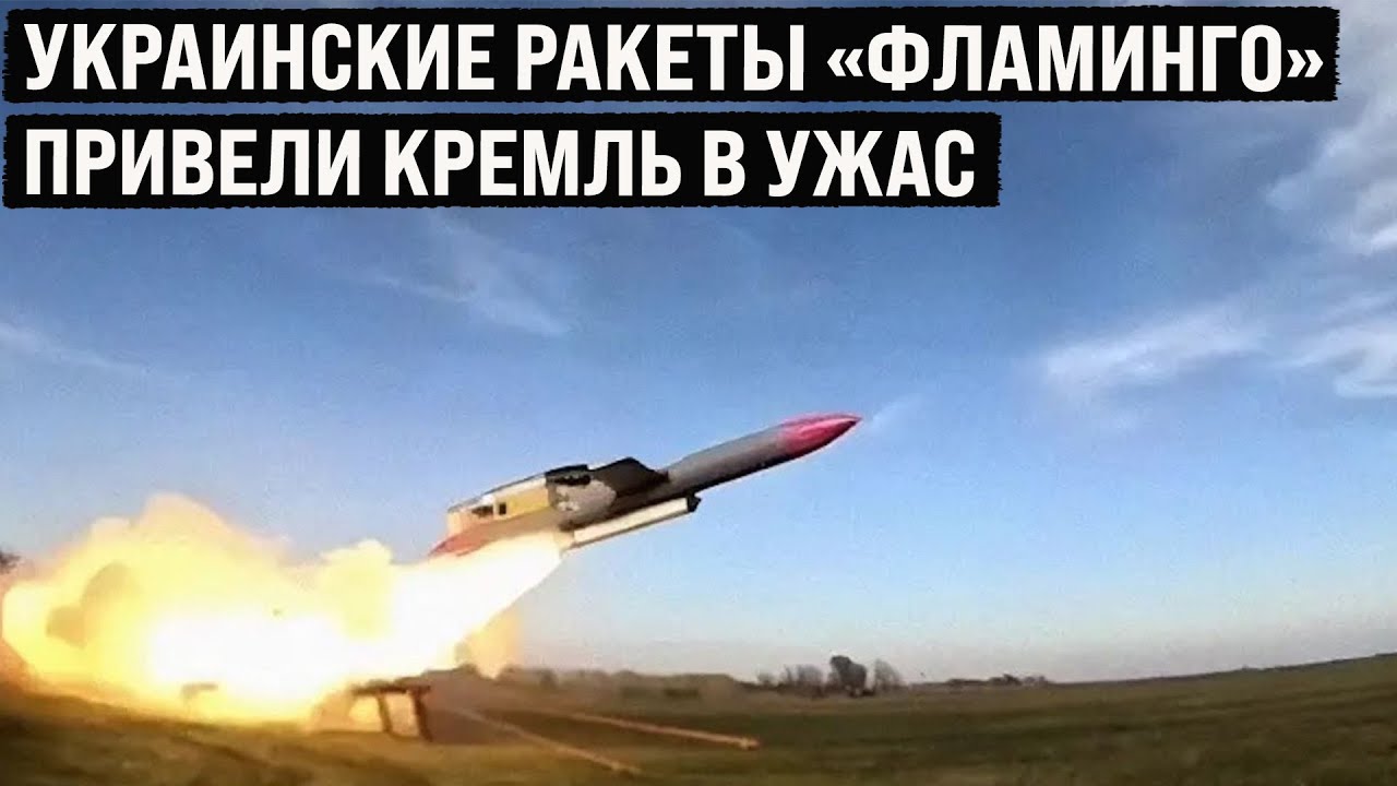 Украинские крылатые ракеты FP-5 &laquo;Фламинго&raquo; идут в серию! 210 шт. в месяц - Кремль в панике!