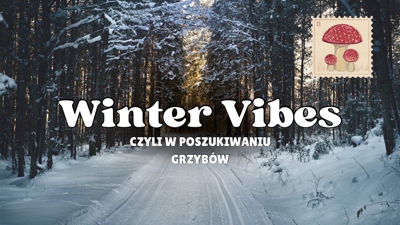 Winter Vibes ❄️🌲 | Zimowy las, cisza i białoporek brzozowy #winter #nature #wildlife 