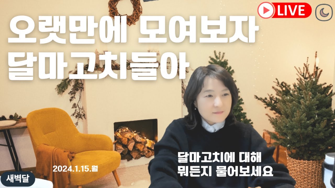 [월요라방] 달마고치들아, 모여보자