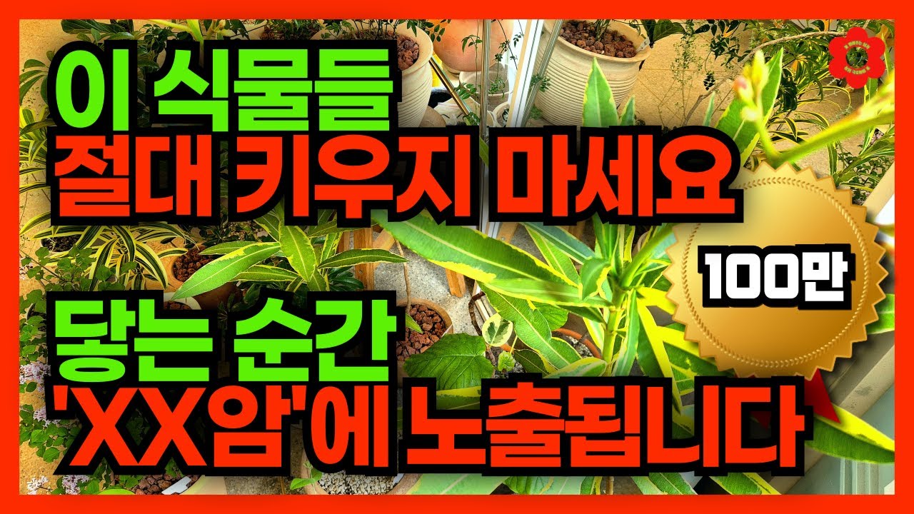 [충격! 암 유발 식물🪴] 머리털나고 처음 알게된 사실2 : 이 식물 절대 조심! ⚠️이것 모르면 정말 큰일납니다ㅣ