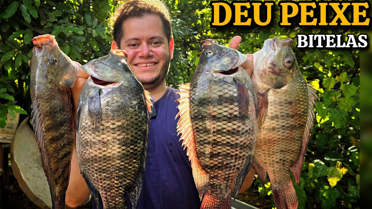 A FARRA DAS TILÁPIAS - PESCARIA DE PIRACEMA ft. ARY PORTUGUÊS #fyp #fypシ #pesca #pescaria #peixe 