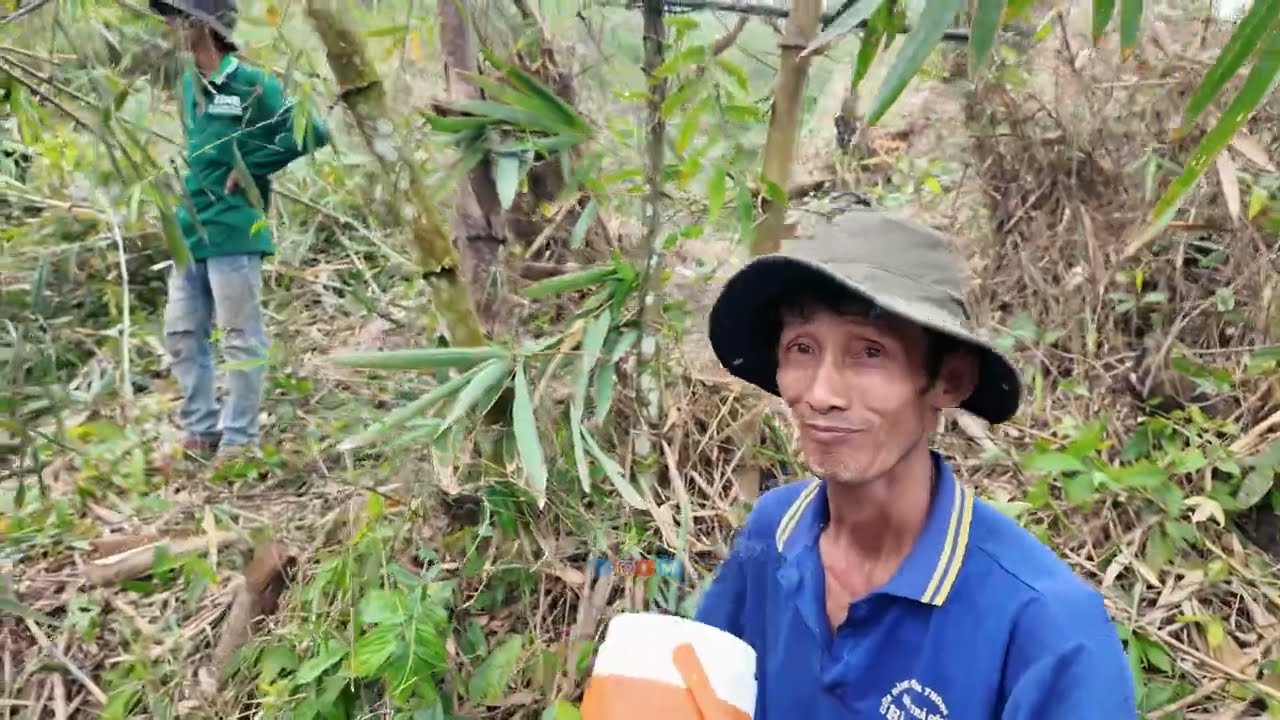Ùn Ùn xuống hang Con Trăn khủng thứ 2 lộ diện trên đỉnh núi Cô Tô