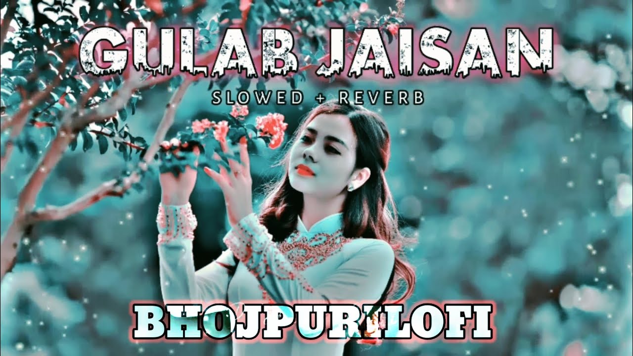 #(Slowed+Reverb)GULAB JAISAN KHILAL BADU गुलाब जईसन खिलल बाडू 