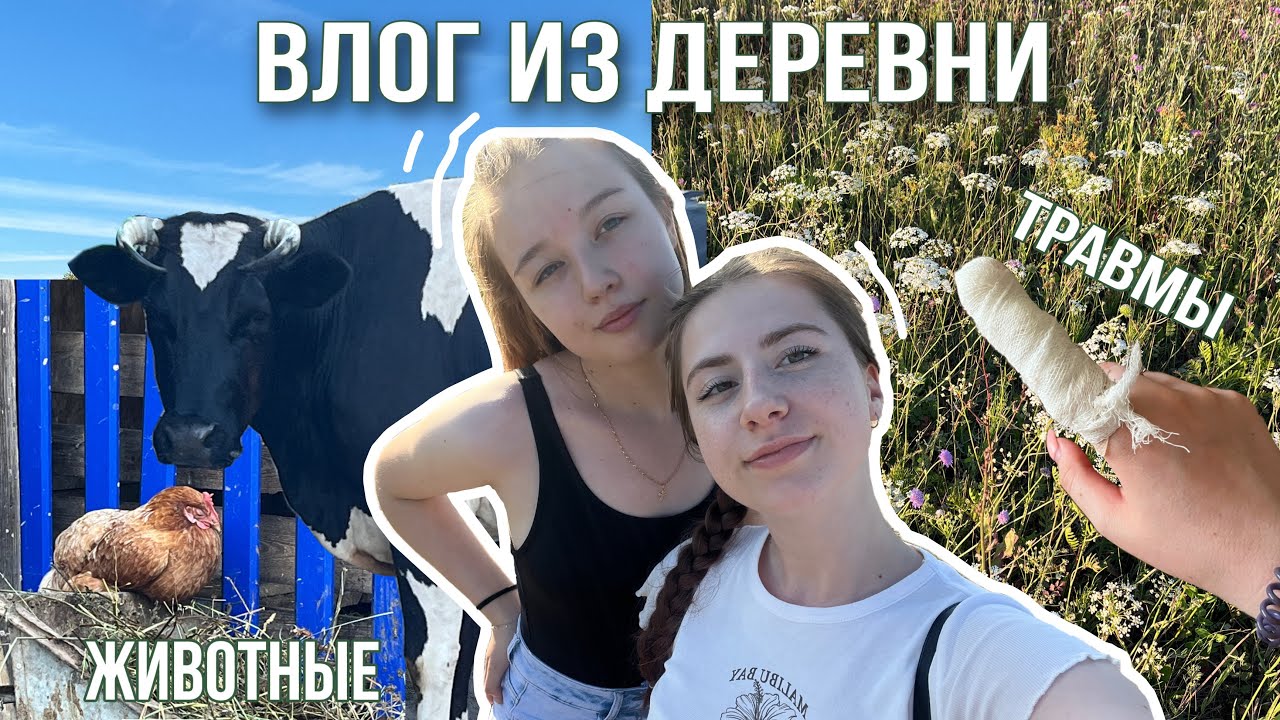 ВЛОГ ИЗ ДЕРЕВНИ / уехали в деревню,чтобы отдохнуть от городской суеты