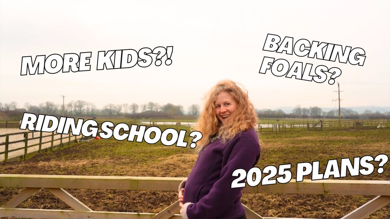 Answering My Most Asked Questions