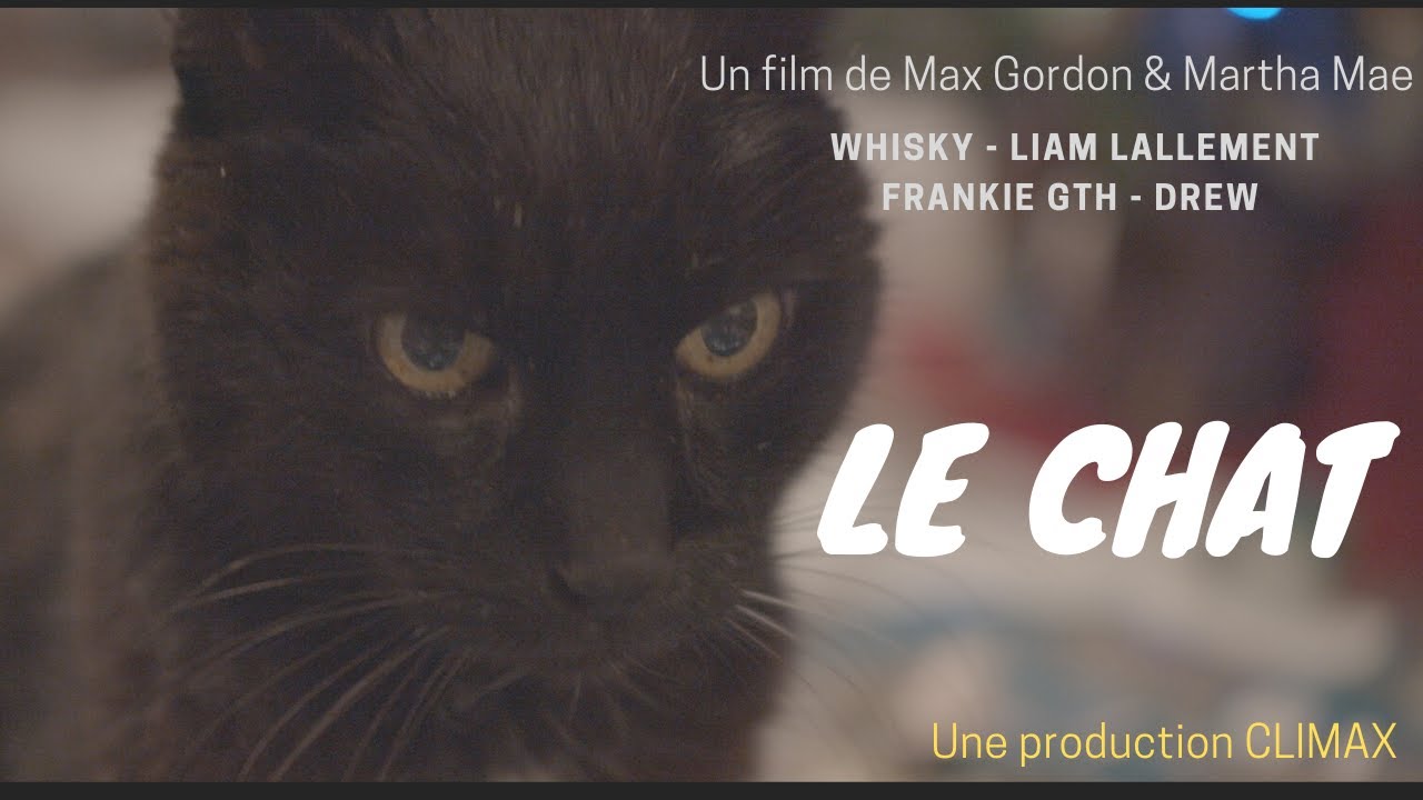 LE CHAT - Court-métrage