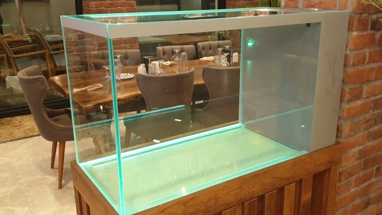 Extra Clear Glass and Color Revel - What Is This Aquarium's Astonishingly Different Secret?