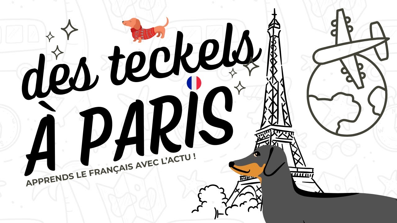 Apprends le français avec l’actu : des teckels envahissent Paris !