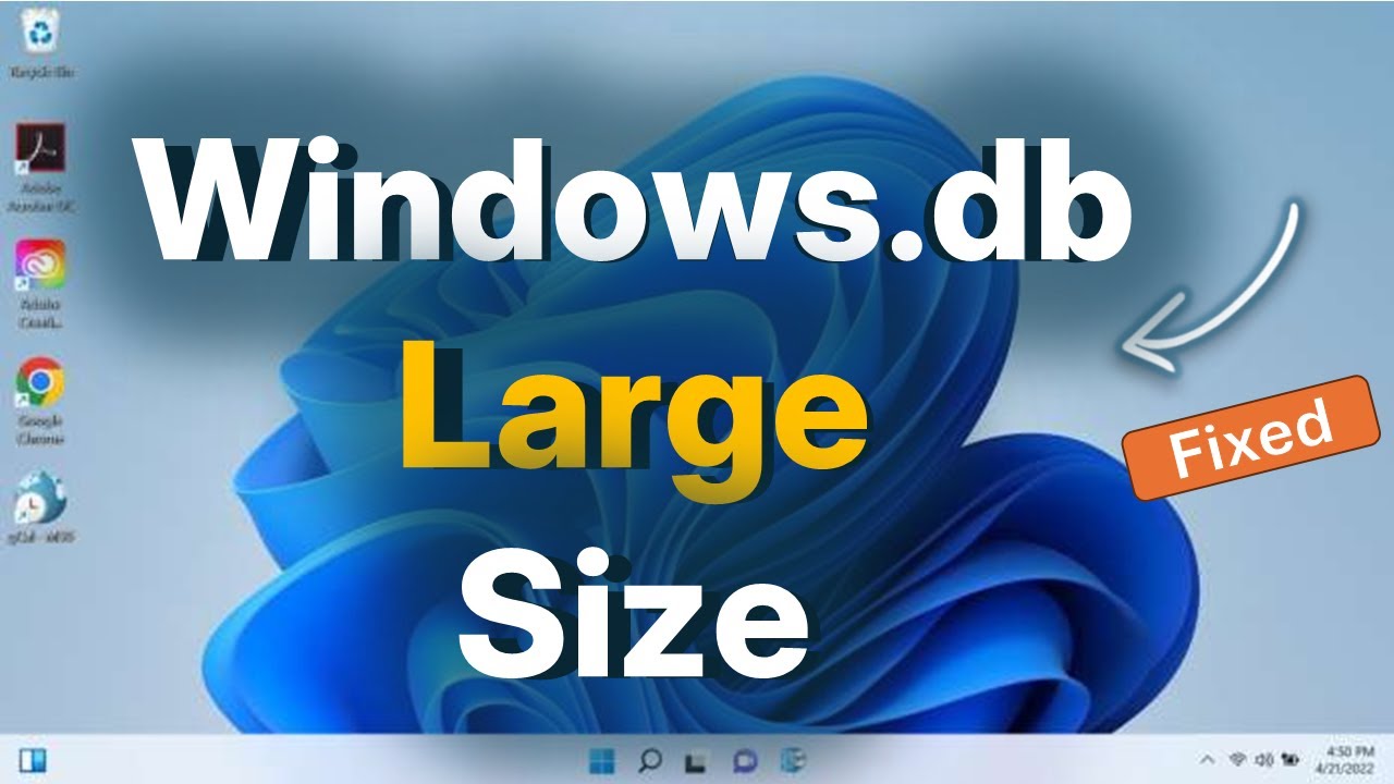 Windows.db large file size issue in Windows 11 : Fix