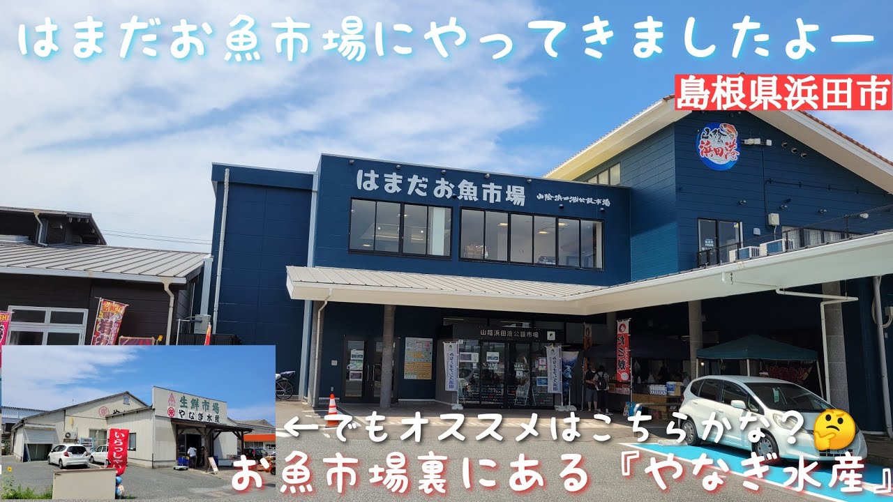 はまだ『お魚市場』(旧浜田お魚センター)にやってきましたー！けど、オススメは市場裏にある『やなぎ水産』さんです！@親方の食材探し時々道の