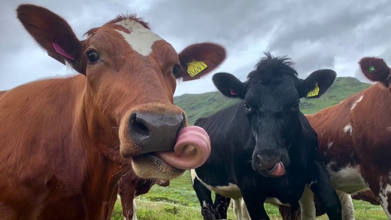 Gudvangen og Jordalen