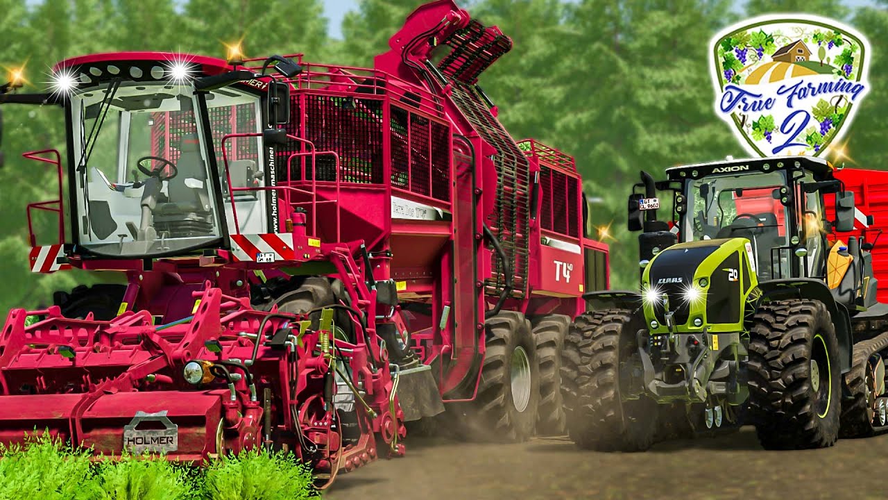 DIEBSTAHL auf dem Karottenfeld! Auf frischer Tat ertappt 🚜 True Farming 2 #505 | LS22