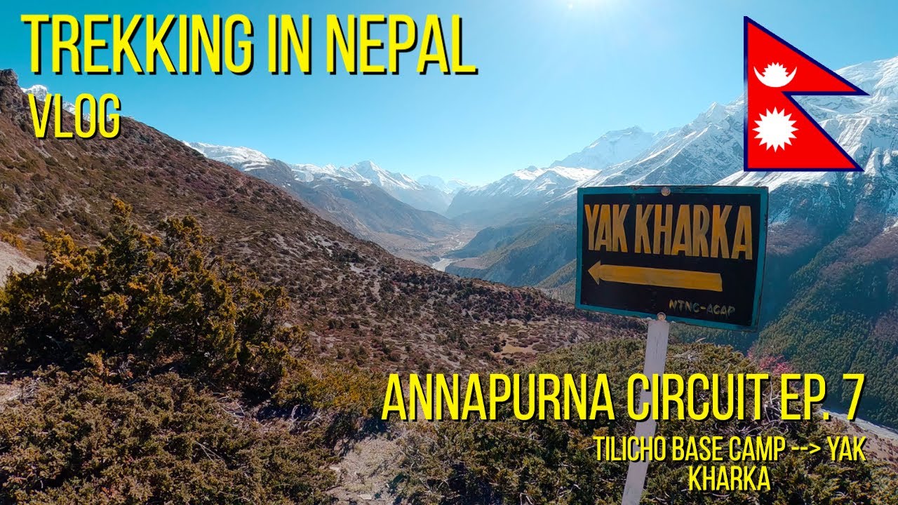 Nepal, The Most Beautiful Country in the World!? | Vlog #7 | Tilicho Base Camp To Yak Kharka.