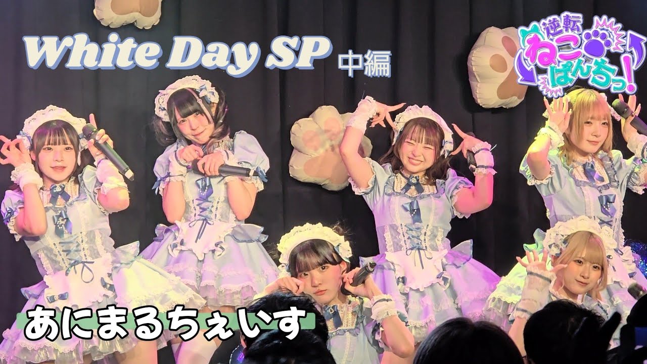 逆転ねこぱんちっ！『あにまるちぇいす』White Day SP📍中編