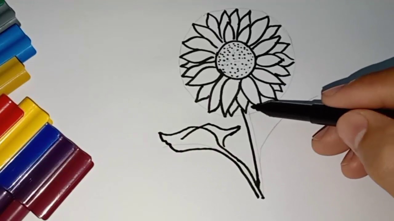 How to draw sun flower   Drawing color pages tutorials