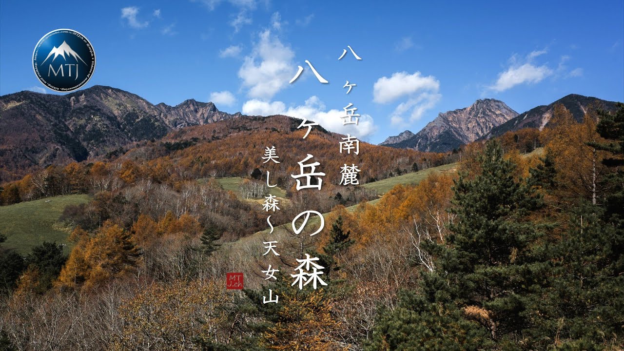 八ヶ岳南麓「八ヶ岳の森」美し森～天女山｜山梨県【登山・日帰り・車・2024年11月12日・秋】