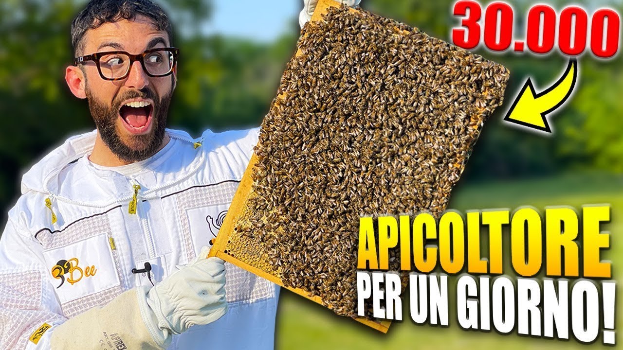 30.000 API IN MANO! - Apicoltore per 24H | Lavori in Corso 2 🚧 Ep.2