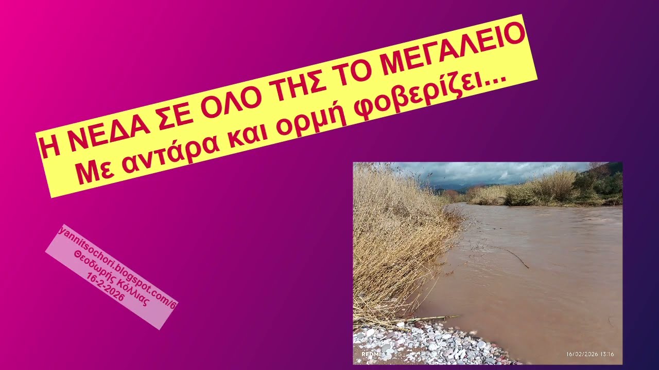 Η ΝΕΔΑ ΜΑΝΙΑΣΜΕΝΕΙ ΦΕΡΝΕΙ ΛΙΘΑΡΙΑ ΡΙΖΙΜΙΑ