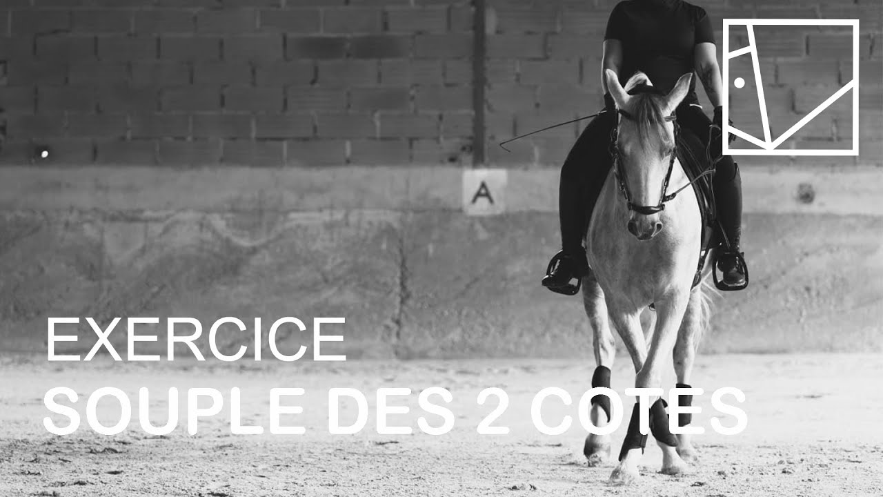 RAIDE SUR UNE RENE : TROUVER LA SOUPLESSE  / SERIE TECHNIQUE #26 /