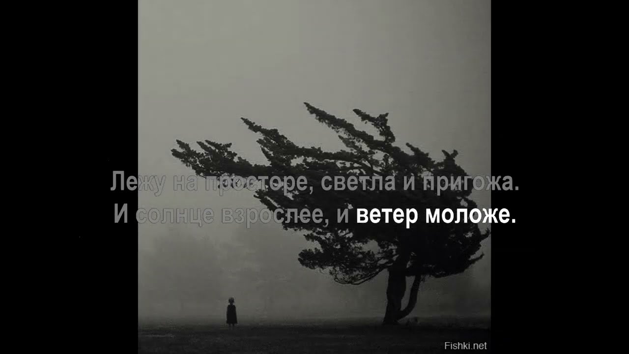 На небе вороны. (ДДТ/Настя Полева) Караоке