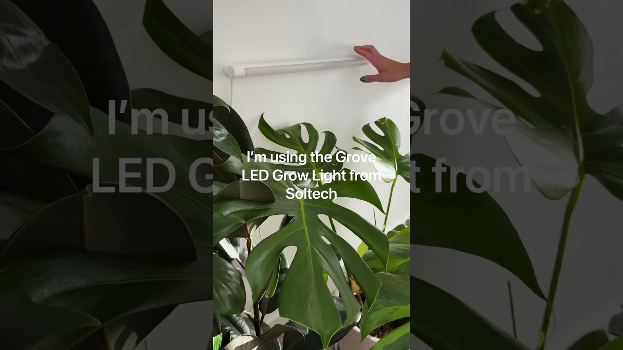 Best grow lights ever! ☀️Use code &lsquo;Mariahgrows15&rsquo; for 15% off your order at Soltech.com