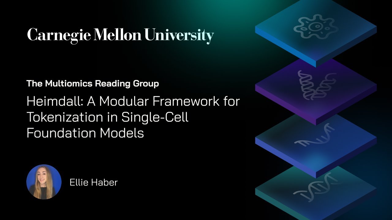 Heimdall: A Modular Framework for Tokenization in Single-Cell Foundation Models | Ellie Haber