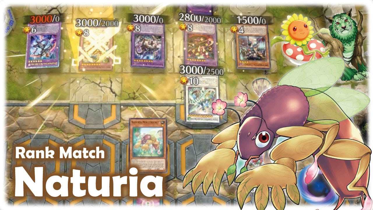 Naturia OTK Deck | Quick WIN | Master duel | Tier 0 | Reflect damage